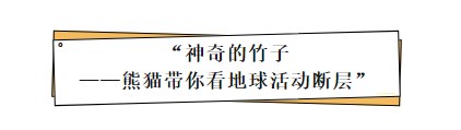 图片13.png